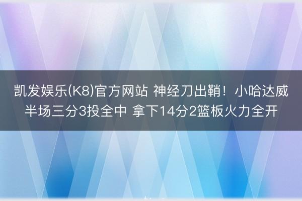 凯发娱乐(K8)官方网站 神经刀出鞘！小哈达威半场三分3投全中 拿下14分2篮板火力全开