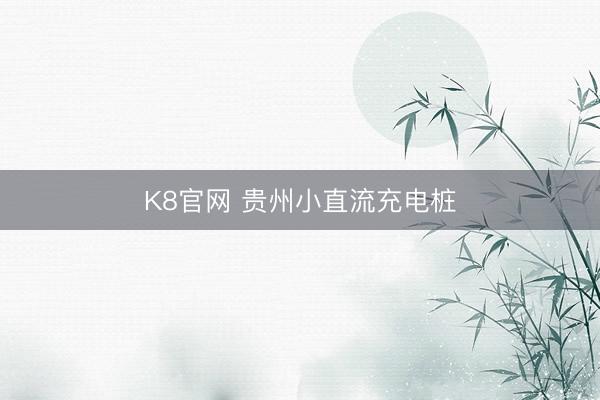 K8官网 贵州小直流充电桩