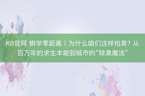 K8官网 蝌学零距离丨为什么咱们这样怕臭? 从百万年的求生本能到城市的“除臭魔法”