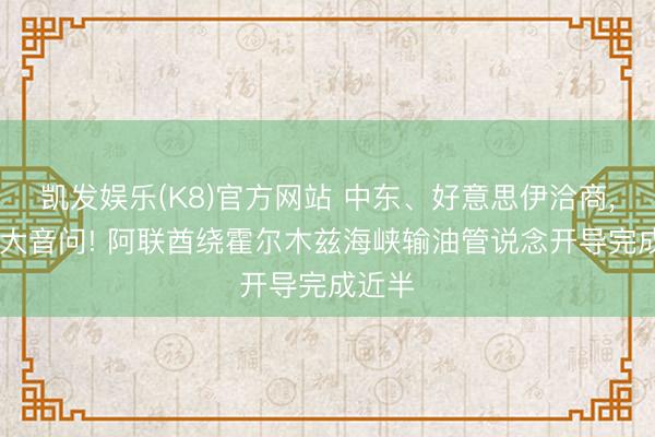 凯发娱乐(K8)官方网站 中东、好意思伊洽商， 传来大音问! 阿联酋绕霍尔木兹海峡输油管说念开导完成近半