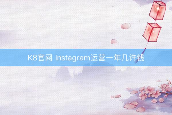 K8官网 Instagram运营一年几许钱