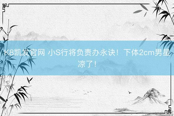 K8凯发官网 小S行将负责办永诀！下体2cm男星凉了！