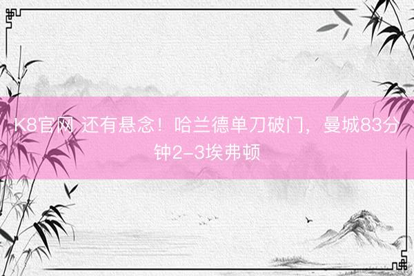 K8官网 还有悬念！哈兰德单刀破门，曼城83分钟2-3埃弗顿