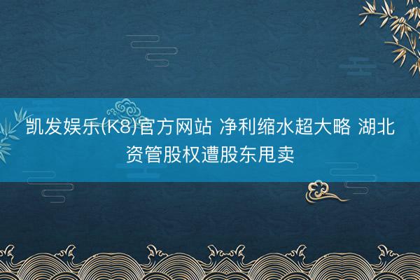凯发娱乐(K8)官方网站 净利缩水超大略 湖北资管股权遭股东甩卖