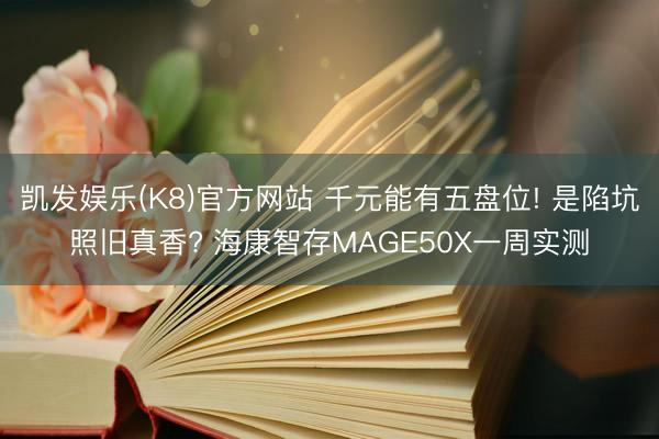 凯发娱乐(K8)官方网站 千元能有五盘位! 是陷坑照旧真香? 海康智存MAGE50X一周实测