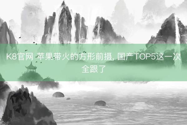 K8官网 苹果带火的方形前摄， 国产TOP5这一次全跟了