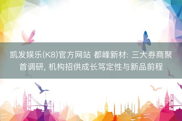 凯发娱乐(K8)官方网站 都峰新材: 三大券商聚首调研， 机构招供成长笃定性与新品前程