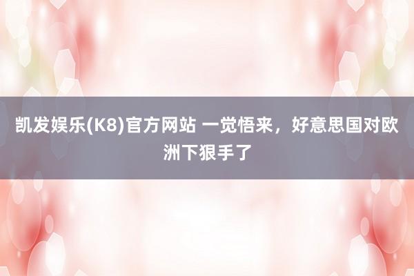 凯发娱乐(K8)官方网站 一觉悟来，好意思国对欧洲下狠手了