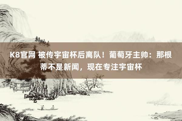 K8官网 被传宇宙杯后离队！葡萄牙主帅：那根蒂不是新闻，现在专注宇宙杯